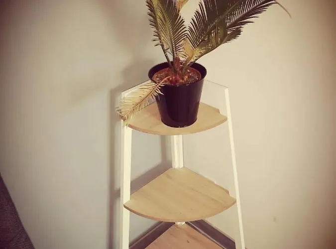 B Neuf Style Scandinave *